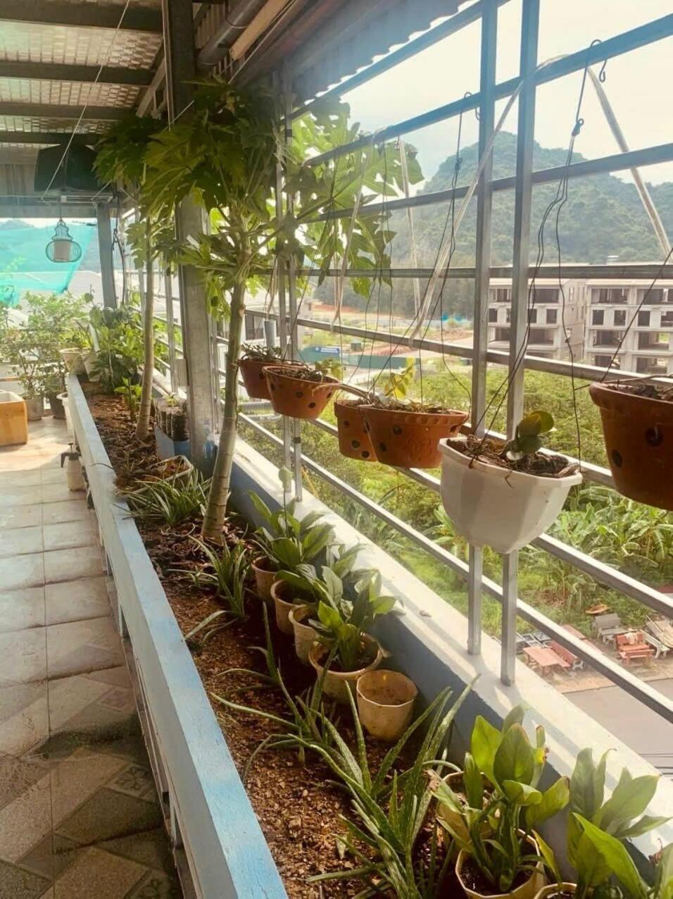 Thu Thuy Hotel Chan Chau Экстерьер фото